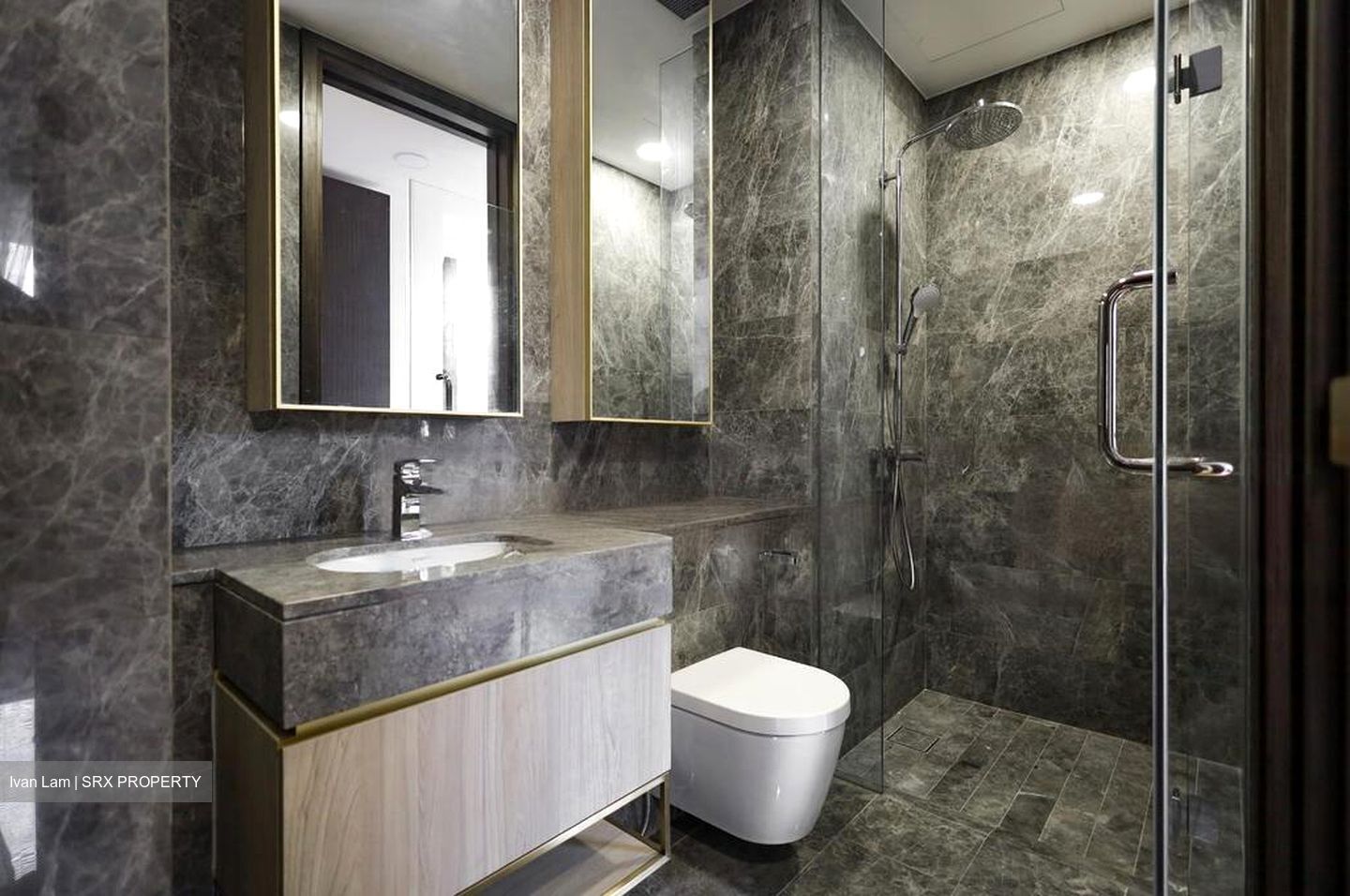 Meyer Mansion (D15), Apartment #459396061